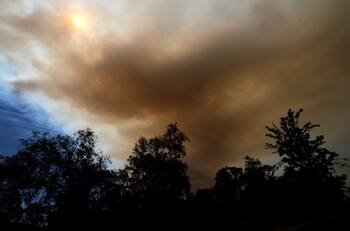 VIDEO | Incendio forestal en Los Sauces: Alerta Roja por siniestro con alto peligro de propagación