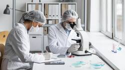 Destruye al benceno: Descubren bacteria que se come a compuesto contaminante y cancerígeno