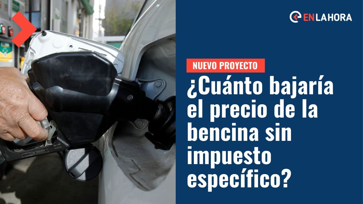 Suspensión impuesto específico a los combustibles: ¿Cuánto bajaría la bencina con el nuevo proyecto?