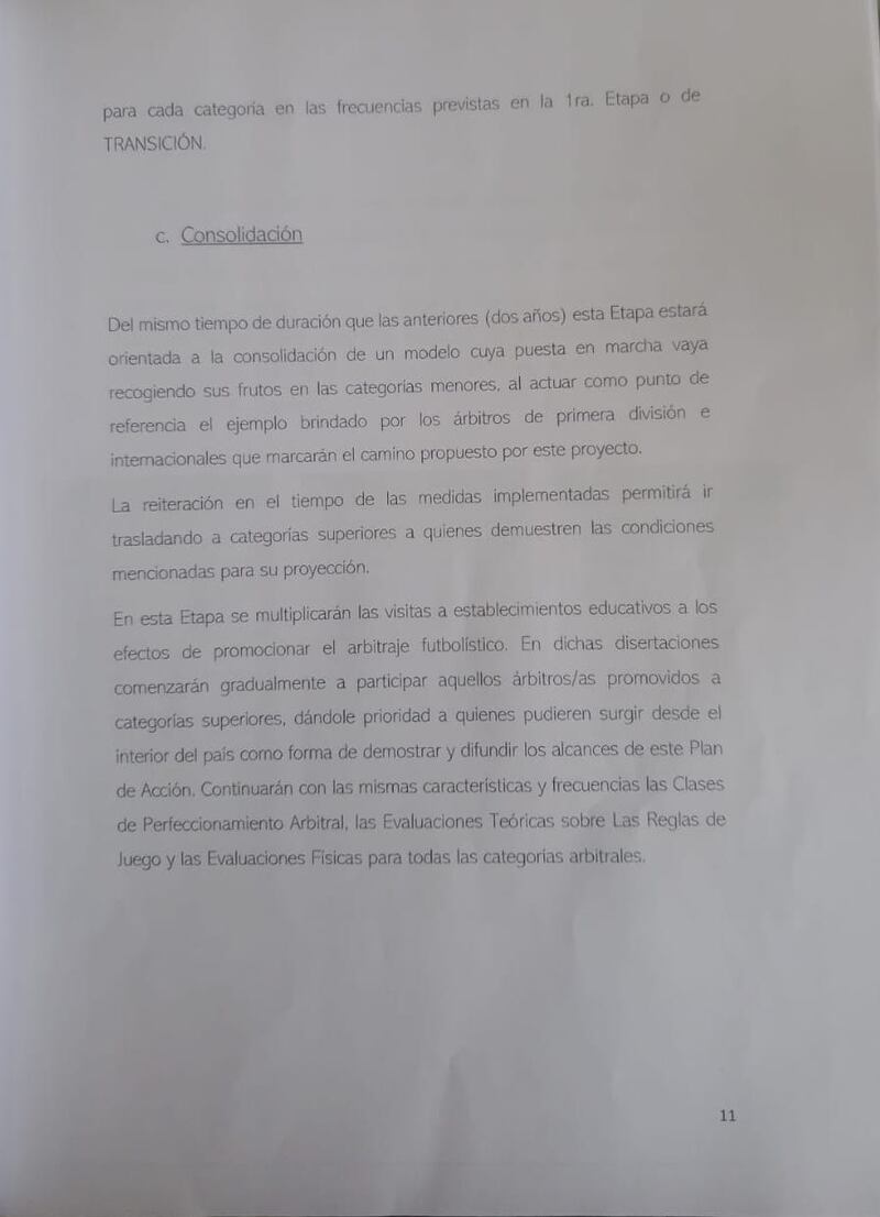 King Kong Leaks, Informe Javier Castrilli
