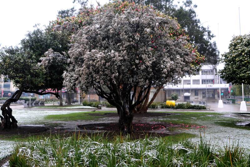 Las bajas temperaturas serán entre la Región del Maule y Biobío.