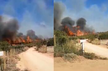 VIDEO | Nuevo incendio forestal en Región de Valparaíso: Llamas afectan comuna de Santo Domingo