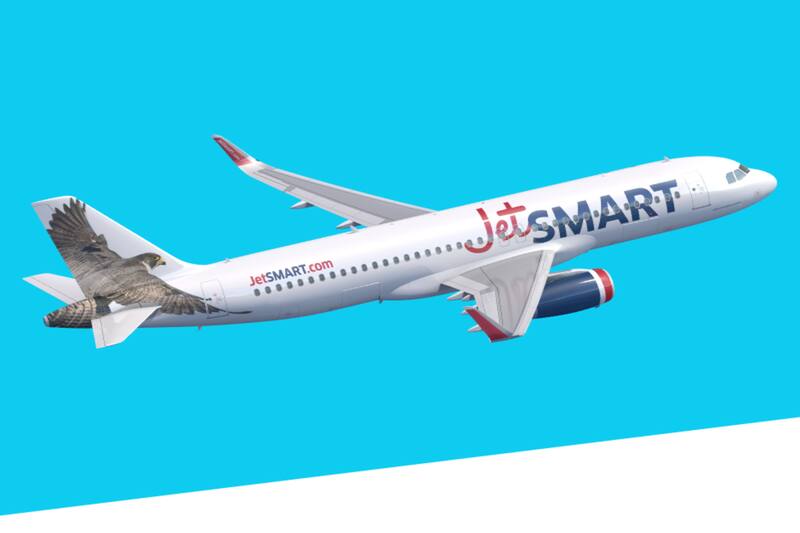 Los animales pueden llevarse solo en vuelos directos y sin escalas. Créditos: Jet Smart.