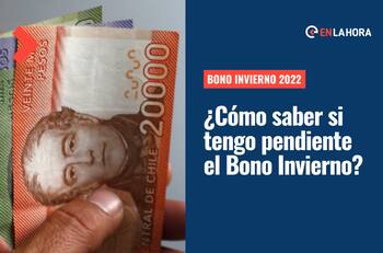 Bono Invierno: Revisa con tu RUT y fecha de nacimiento si tienes pendiente los $120 mil
