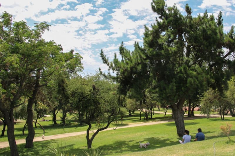Atienden durante toda la semana y son aptos para todo el público.
Créditos: Amo Santiago.