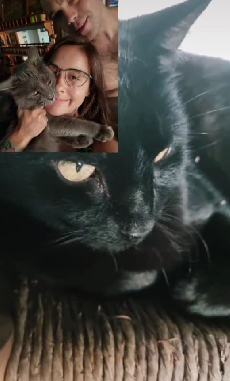 Se despidió de una de sus queridas mascotas.