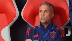 Gustavo Álvarez sería presentado la próxima semana como DT de Perú: “Su ambición era desligarse de la U”