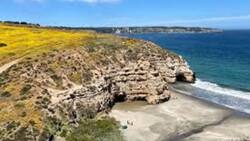 Gigantesco megaproyecto de US$2.000 millones enfrenta etapa decisiva para ser construido