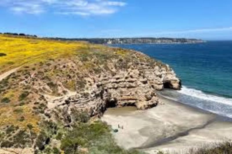 Tiene una inversión total de US $2.000 millones.