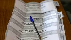 Plebiscito 2020: Medidas para asegurar el derecho a voto en pandemia