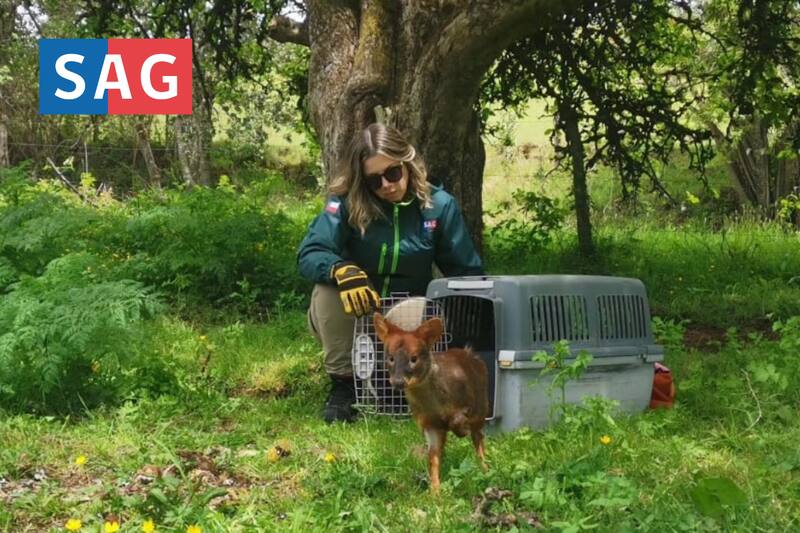 Conoce los trabajos a los que puedes postular.