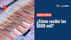 Subsidio Protege: ¿Cómo postular a este beneficio para recibir un total de $600 mil en tres meses?