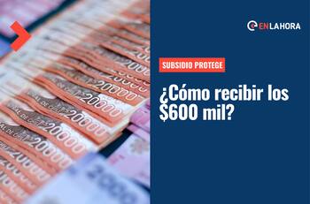 Subsidio Protege: ¿Cómo postular a este beneficio para recibir un total de $600 mil en tres meses?