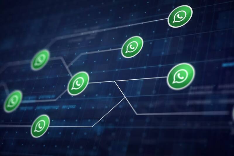 Entérate de las novedades de WhatsApp antes que todos estando en el programa Beta.