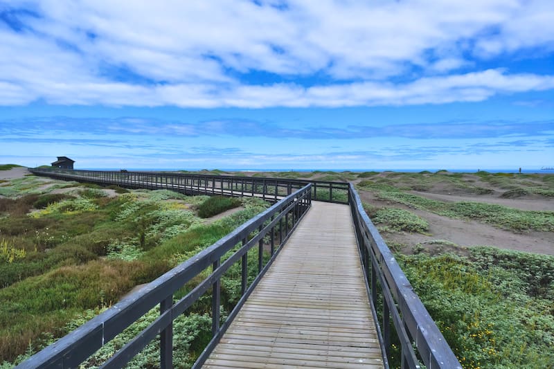 Destino imperdible para recorrer si estas en San Antonio. Créditos: Google Maps.