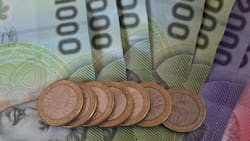 Este es el proyecto que busca subsidiar a quienes pertencen al 40% del RSH