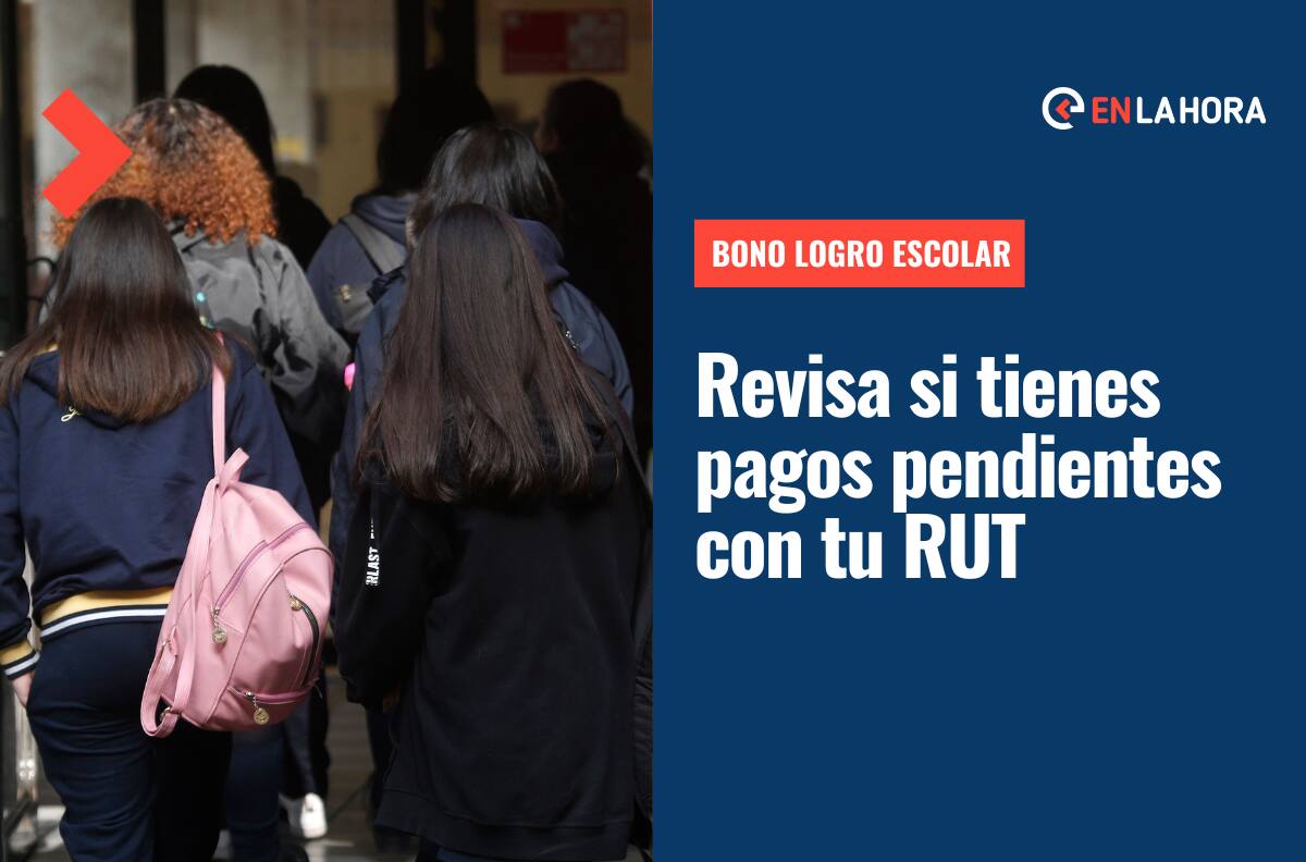 Bono Logro Escolar: ¿Cómo saber si tengo pagos pendientes con mi RUT y fecha de nacimiento?