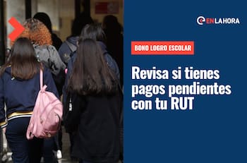 Bono Logro Escolar: ¿Cómo saber si tengo pagos pendientes con mi RUT y fecha de nacimiento?