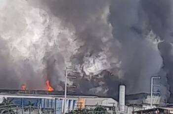 VIDEO | Increíble: Enorme incendio se registra en fábrica de papel en Brasil