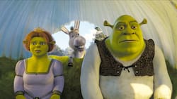 Shrek 2 regresa a los cines de Chile por su 20 aniversario: Revisa la fecha y los detalles