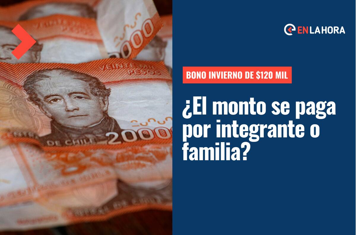 Bono Invierno de $120 mil: ¿Se paga por integrante o familia? Aquí te explicamos cómo se calcula el monto a recibir