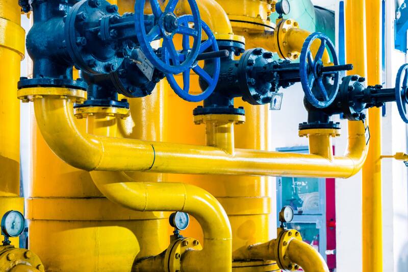 Estas fueron las elecciones de la IA.