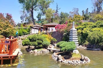 Escapa del estrés en este jardín japonés secreto de Santiago: es ideal para tomar fotos increíbles