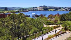 A menos de dos horas de Santiago: el santuario con laguna y aves ideal para una escapada tranquila antes de que termine el calor