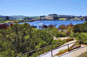 A menos de dos horas de Santiago: el santuario con laguna y aves ideal para una escapada tranquila antes de que termine el calor