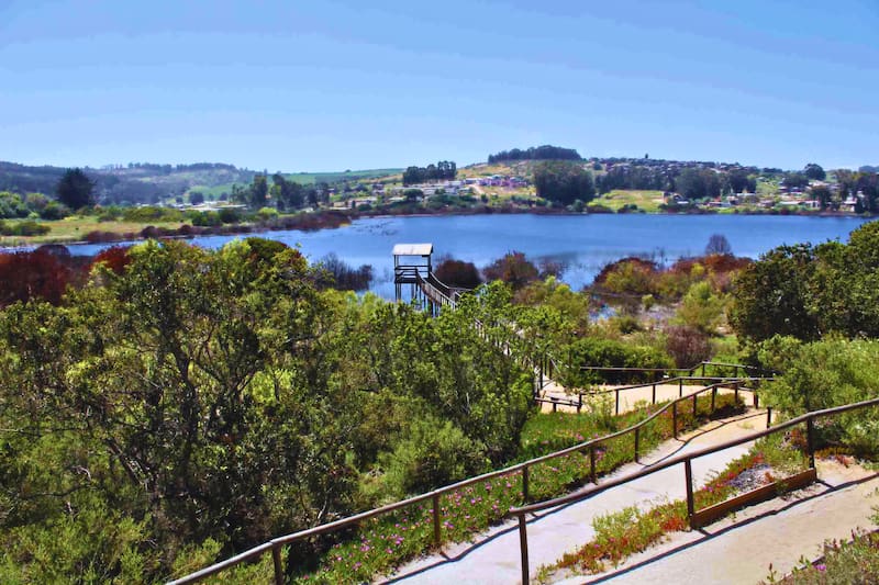 El panorama más relajante que se ubica cerca de Santiago. Créditos: San Antonio Fotos.