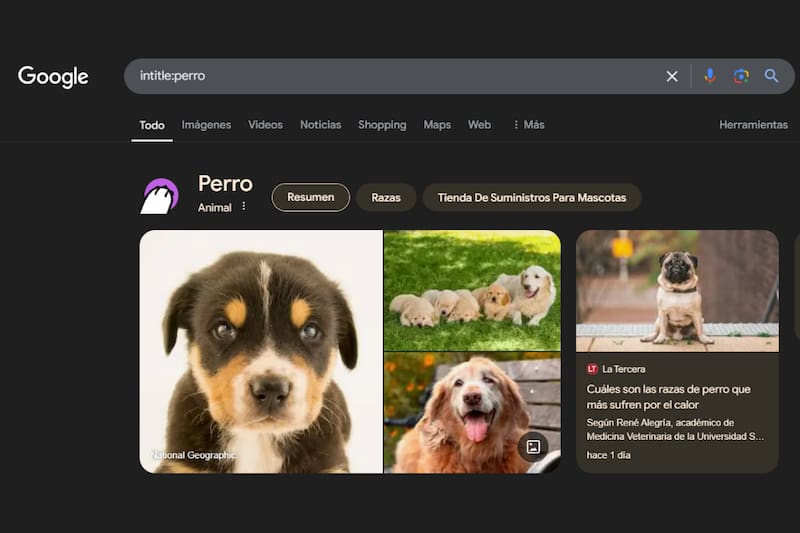 Este comando permitirá que solo aparezcan resultados que contengan el término específico en el título.