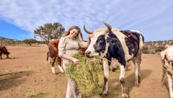 Eliana Albasetti rompe récords en su fonda vegana: Hicieron el choripán más largo y abrazaron vacas