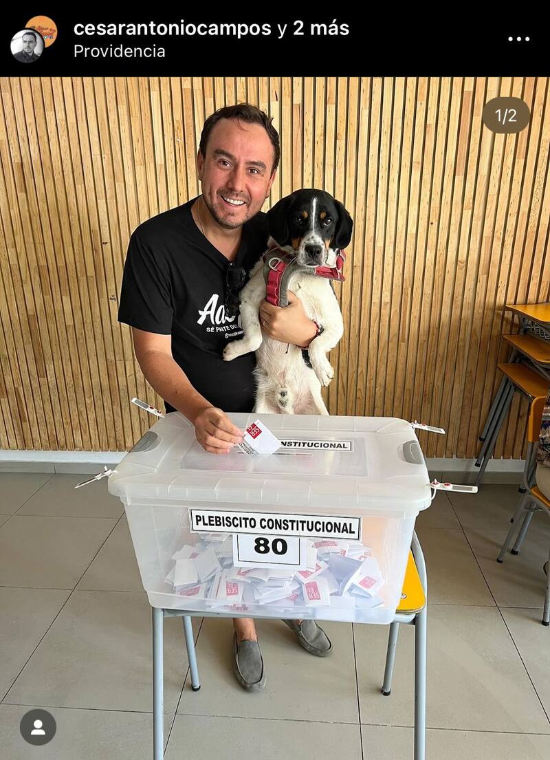 A través de redes sociales, distintas personalidades del mundo del espectáculo ejercieron su voto a sufragar y compartieron el registro.