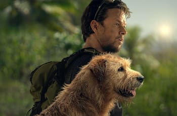 Experto en armas critica a Mark Wahlberg por su actuación en “Tirador”