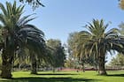 A solo una hora de Santiago: este parque gratuito es perfecto para relajarse y escapar del ruido de la capital
