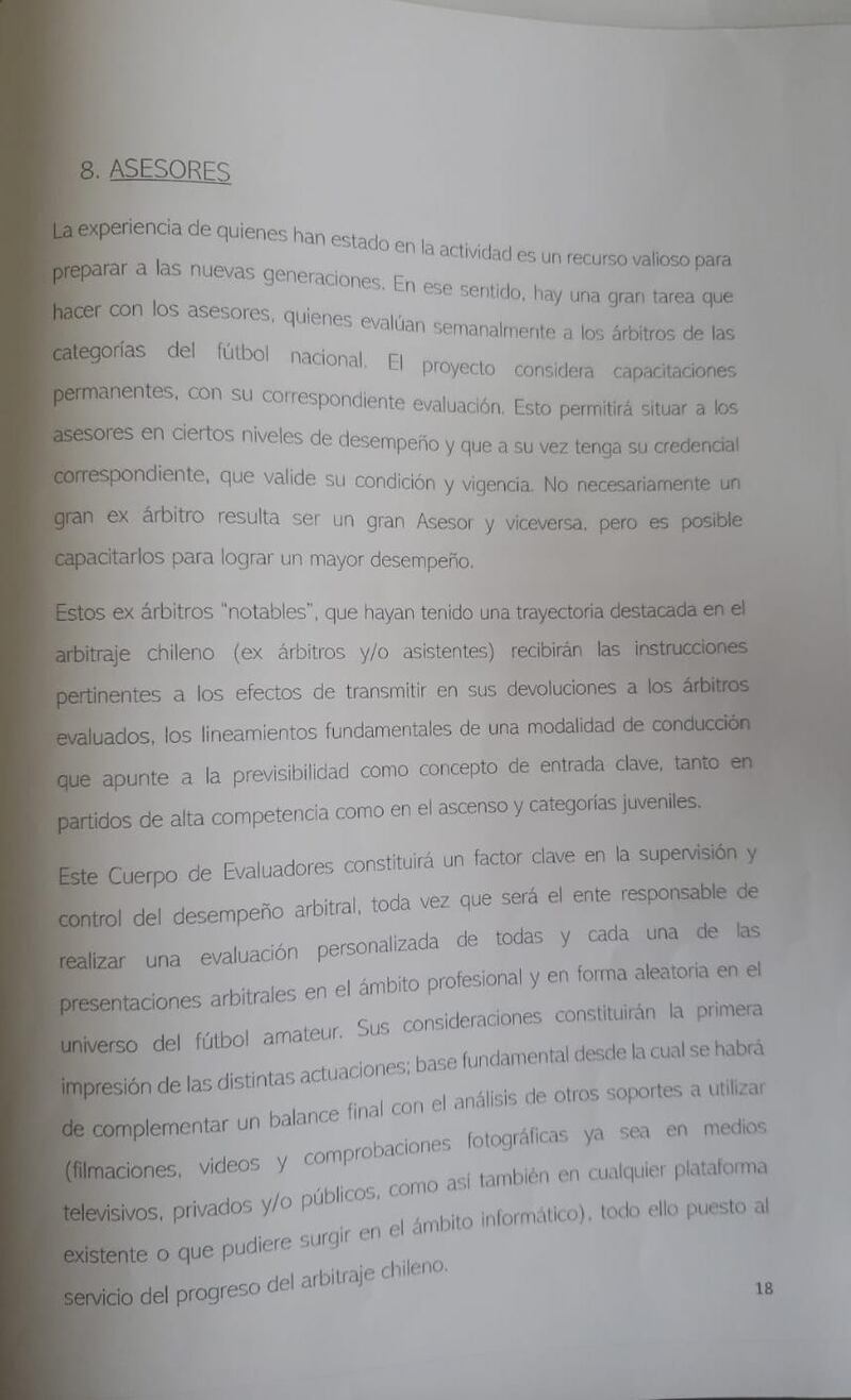 King Kong Leaks, Informe Javier Castrilli