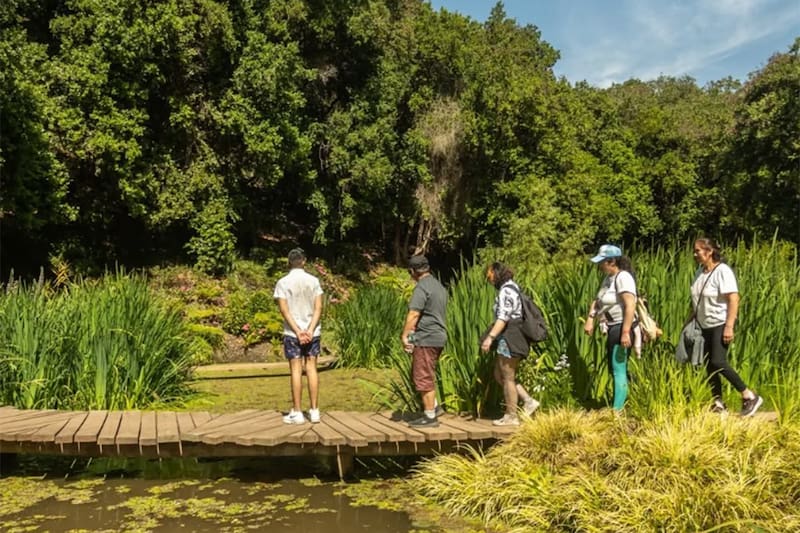 El lugar cuenta con múltiples actividades para escoger. Créditos: @parquetricao