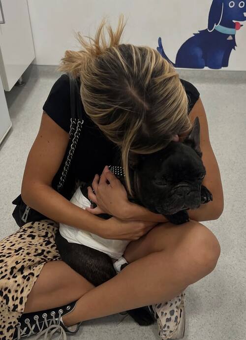 La española perdió a su mascota.