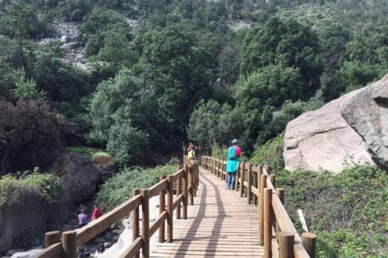 Este ofrece increíbles senderos, los que son ideales para hacer trekking. Créditos: Conociendo Chile.