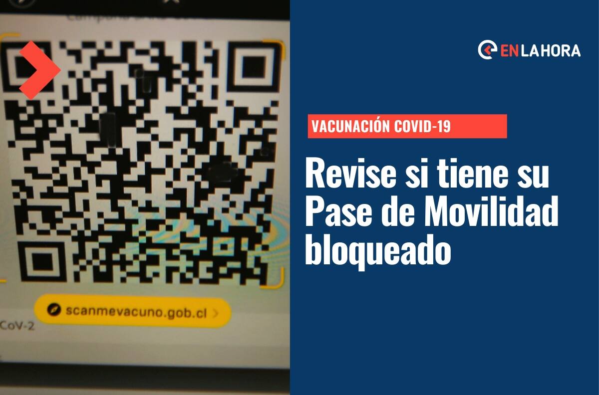Pase de movilidad: ¿Cómo saber si está bloqueado y qué hacer para actualizar el documento?