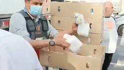 VIDEO | Camioneros regalan bandejas de champiñones en Quinteros para que no se echen a perder