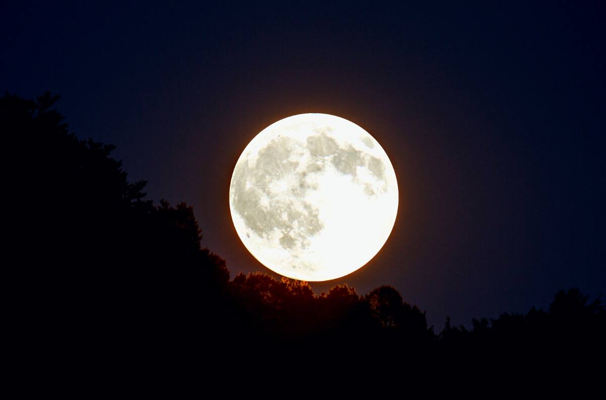 Superluna de Ciervo: Cómo, cuándo y dónde ver la luna llena más grande del 2022