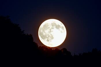 Superluna de Ciervo: Cómo, cuándo y dónde ver la luna llena más grande del 2022