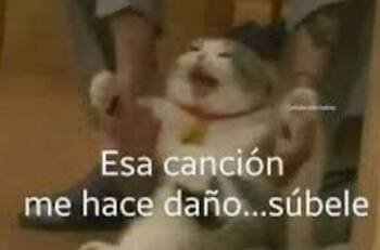 Revisa los mejores memes que dejó la presentación de Morat en el Festival de Viña 2025