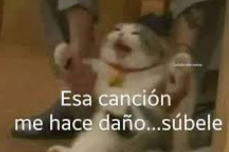 La presentación de la banda colombiana no dejó a nadie indiferente en redes sociales. Créditos: X.