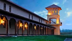 La viña histórica que puedes visitar sin salir de Santiago: Tiene más de 160 años de historia