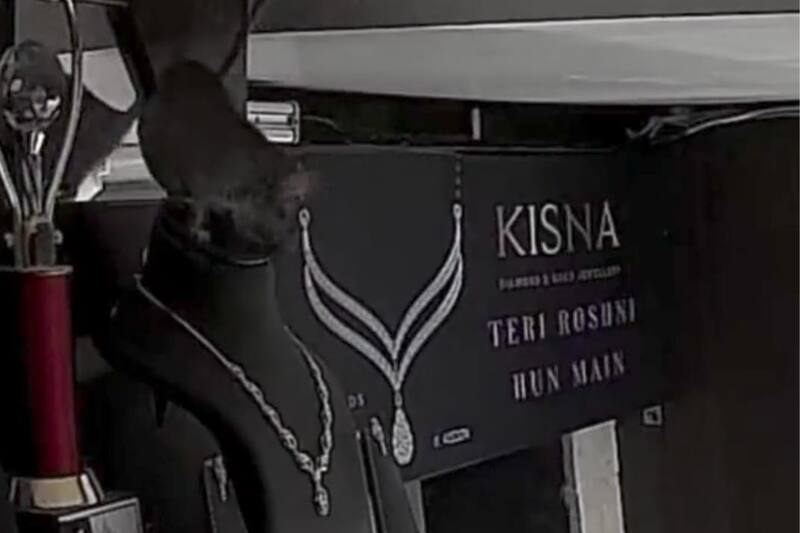 Una rata roba lujoso collar de diamantes de una joyería. Créditos: Captura Video