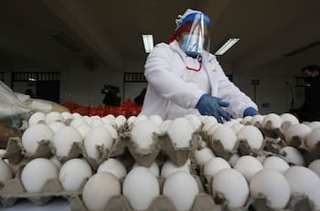 Menú escolar de Junaeb: revisa cuáles son las novedades gastronómicas para este 2022