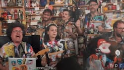 ¡Para todo el mundo! Colo Colo apareció en el Tiny Desk de 31 Minutos