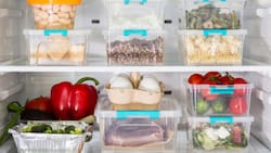Cuánto duran los alimentos en el refrigerador: este es el tiempo exacto en que debes consumirlos